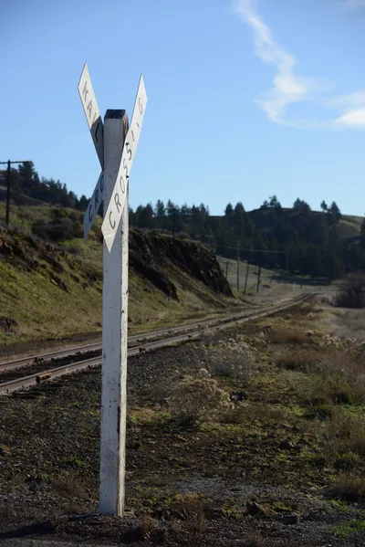 DSC_1086 (Large).JPG